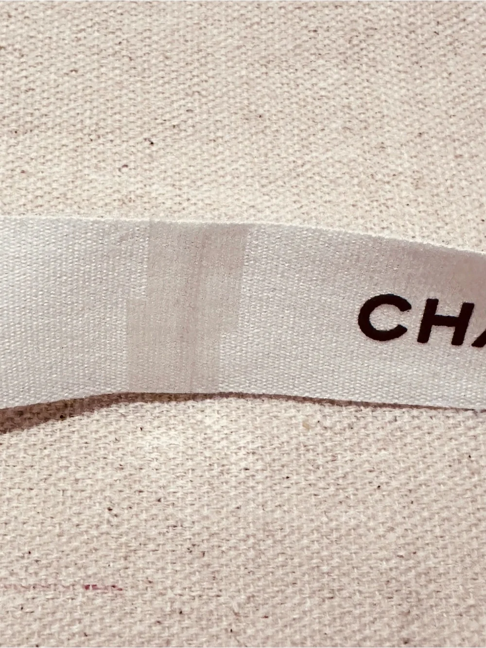 CHANEL nwot has